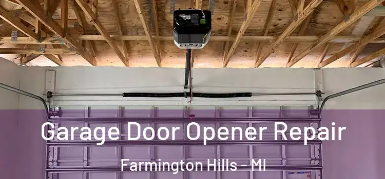  Garage Door Opener Repair Farmington Hills - MI