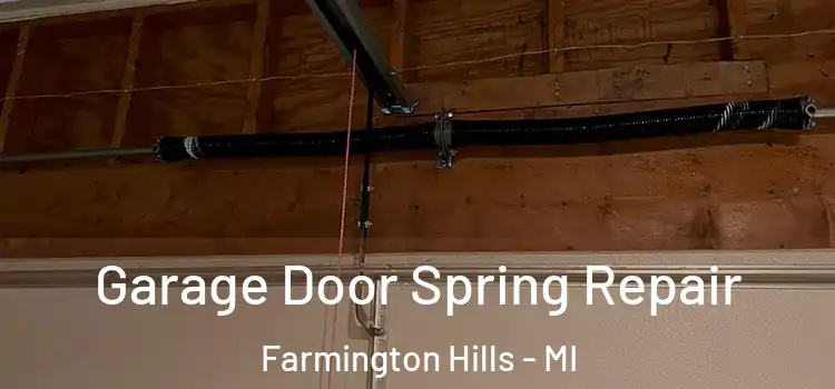  Garage Door Spring Repair Farmington Hills - MI