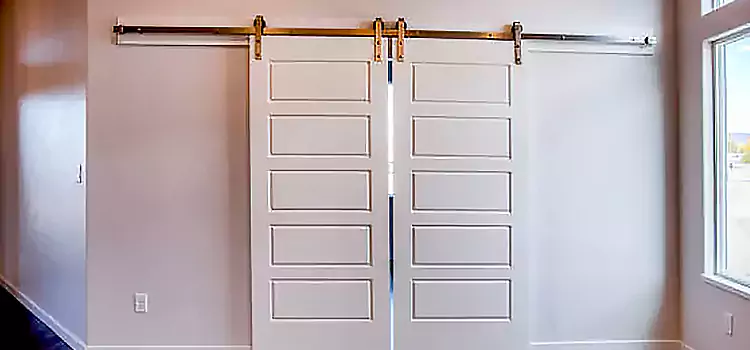 Glass Barn Door with Installation Hardware Kit Farmington Hills
