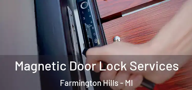 Magnetic Door Lock Services Farmington Hills - MI