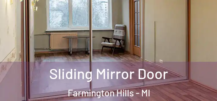  Sliding Mirror Door Farmington Hills - MI